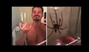 Nu dans sa salle de bains, Orlando Bloom vous montre la grosse araignée qu&#39;il a capturée