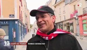 Football : les supporters du Stade Rennais exultent après leur victoire en finale de Coupe de France face au PSG
