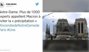 Notre-Dame. Plus de 1 000 experts appellent Macron à éviter la « précipitation »