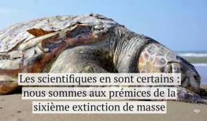 Il faudra 10 millions d’années à la Terre pour se remettre de l’activité humaine