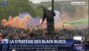 Mobiles et organisés, quelle est la stratégie des blacks blocs dans les manifestations?