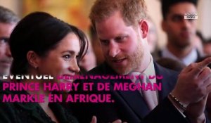 Meghan Markle et le prince Harry bientôt aux États-Unis ? Le frère de la duchesse en est convaincu