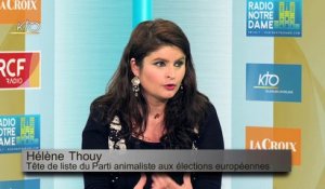 Hélène Thouy « Un déni de démocratie pèse sur la question animale »