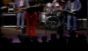 James Brown - Live At Chastain Park - Legends in Concert