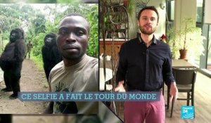 Un "selfie-gorille" qui fait le tour du monde et les feux de brousse au Mali