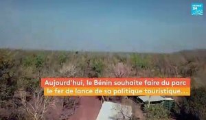 Deux touristes français en vacances dans le parc national de la Pendjari, sont portés disparus avec leur guide