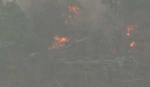 Incendie en Amazonie: Le «poumon de la planète» est en feu