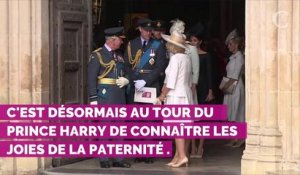 Le prince Harry : de sa vie d'adolescent rebelle de la famille royale à père de famille rangé