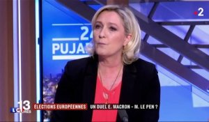 Élections européennes : un duel entre Emmanuel Macron et Marine Le Pen ?