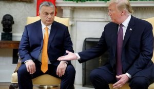 Donald Trump et Viktor Orbán s'affichent ensemble à la Maison-Blanche