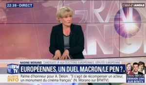 Européennes: "Emmanuel Macron a nationalisé le scrutin", affirme Nadine Morano