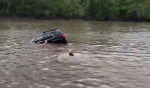 L'impressionnant sauvetage d'une femme bloquée dans sa voiture qui coule dans une rivière