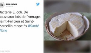 Bactérie E. coli. De nouveaux lots de fromages Saint-Félicien et Saint-Marcellin rappelés