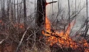 Sans frontières - Incendies dans les forêts en Sibérie