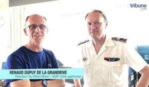LE CAP D'AGDE - Comité de pilotage de l'aire marine protégée