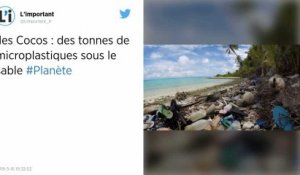 Le sable blanc des îles Cocos pollué par 238 tonnes de débris de plastique