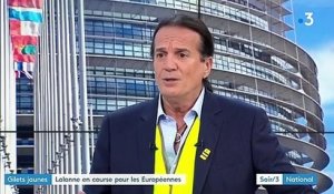 Européennes : "Ceux qui veulent voter contre Macron ne sont pas obligés de voter Le Pen", affirme Lalanne (Alliance jaune)