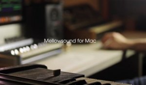 Mellowsound for Mac Audio Unit and Standalone (1080p)