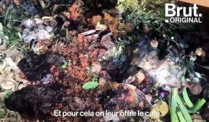 Poules, potager, ruches... La REcyclerie, un restaurant écolo en plein Paris