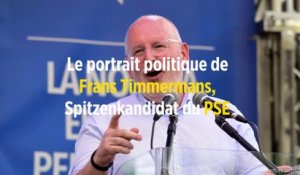 Qui est Frans Timmermans, Spitzenkandidat du PSE ?