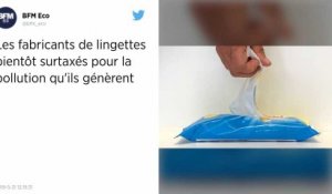 Lingettes jetables. Bientôt un principe de pollueur-payeur instauré pour les fabricants ?