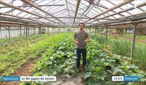Agriculture : le bio gagne du terrain en France
