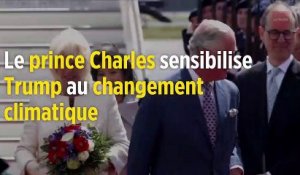 Le prince Charles sensibilise Donald Trump au changement climatique