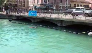 Annecy installe un barrage flottant pour sauver ses bébés cygnes de la noyade