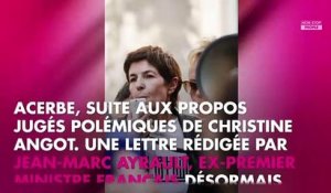 Christine Angot : un ex-ministre fustige France 2 après ses propos sur l’esclavage