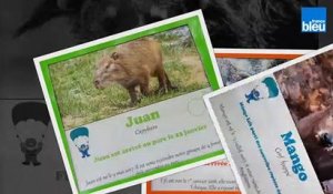 Découvrez l'Auvergne: Les arrivées 2019 du Parc Animalier d'Auvergne d'Ardes sur Couze (63)