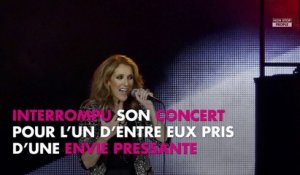 Céline Dion : Son dernier concert à Las Vegas interrompu par un fan