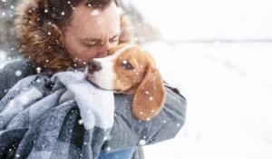 Les conseils pour aider son chien à affronter l'hiver