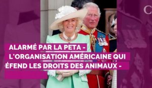 Le prince Charles au cœur d'une polémique à cause... d'un ours en peluche !