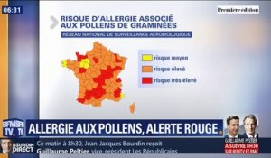 Alors que le risque d'allergie associé aux pollens de graminées est très élevé comment en limiter l'impact ?