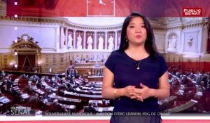 Souveraineté numérique : audition d'Eric Léandri, PDG de Qwant puis Claire Mathieu, spécialiste des algorithmes - Les matins du Sénat (18/06/2019)