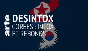 Intox et rebonds dans les deux Corées - 18/06/2019 - Désintox