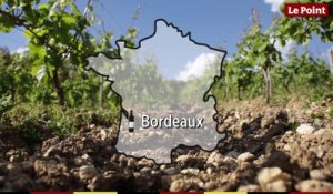 La route des vins : Bordeaux