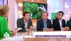 Cannabis : la proposition choc - C à Vous - 20/06/2019
