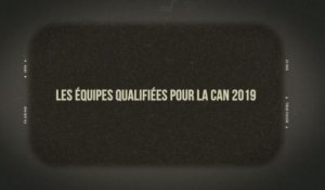 CAN 2019 : la liste des pays qualifiées