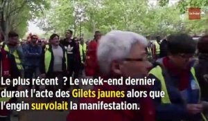 Paris : les goélands ont déclaré la guerre aux drones de la police