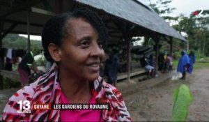 Feuilleton : Guyane, le royaume vert (2/5)