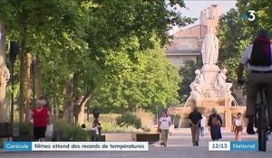 Canicule : À Nîmes, les habitants fuient la chaleur