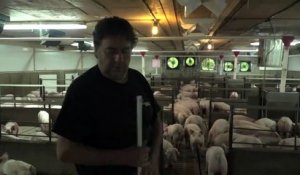 L'inquiétude d'un éleveur de porcs québécois face à la crise avec la Chine