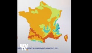 Climat : à quoi va ressembler la France en 2050, avec 2°C de plus?