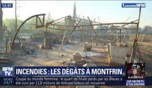 Incendies dans le Gard: les images des dégâts à Montfrin, où 70 hectares sont partis en fumée