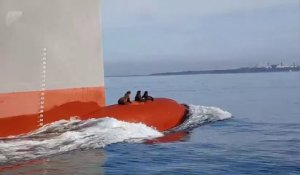 3 phoques voyagent sur la proue d'un navire - Australie