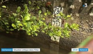 Oise : le manque d'eau inquiète