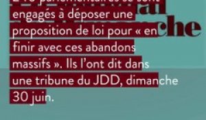 Abandon d’animaux : la France triste championne d’Europe