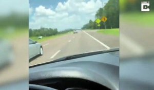 Une grand-mère en fauteuil roulant dans le coffre du pick-up sur l'autoroute... Mamie au grand air