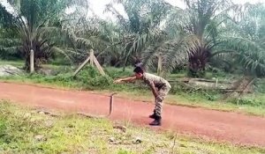Un soldat dompte un serpent (Malaisie)
